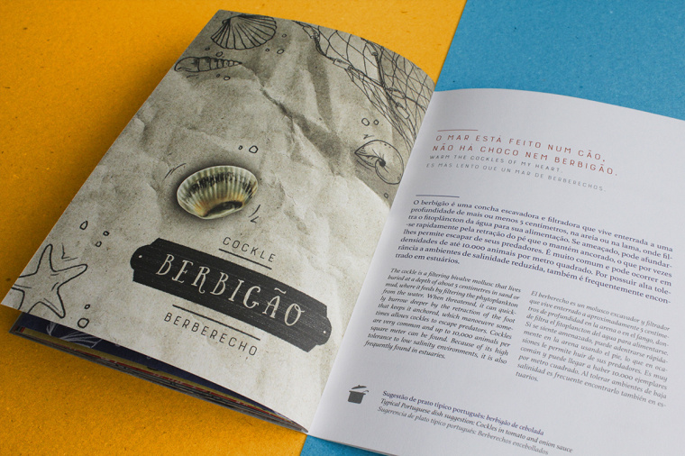 上海宣傳冊設計公司分享：報紙風格魚標本宣傳冊設計