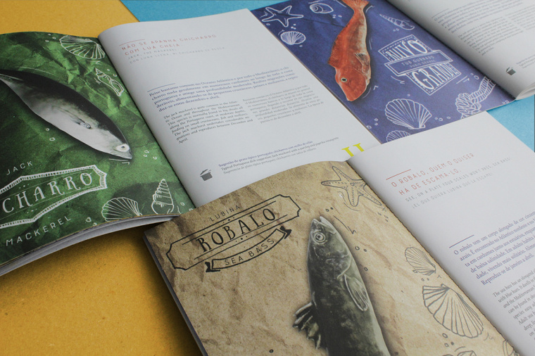 上海宣傳冊設計公司分享：報紙風格魚標本宣傳冊設計