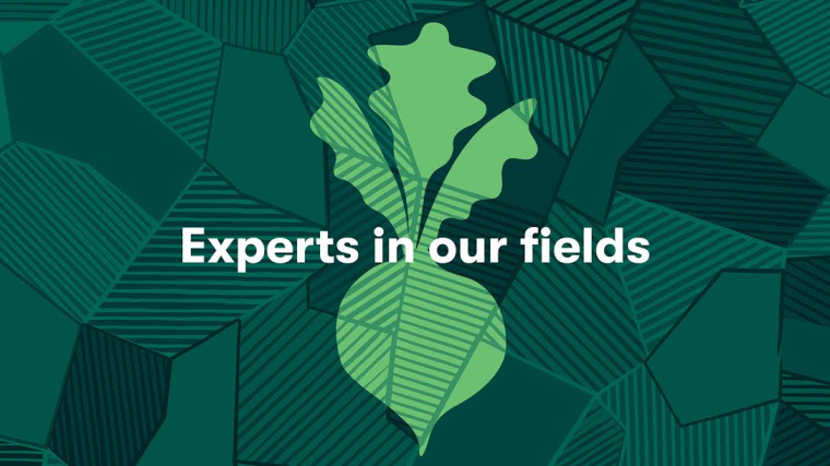 Millbank農場品牌形象設計-VI設計，來自土地樣貌的創意