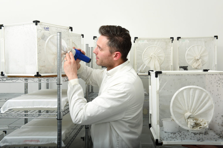 LSHTM醫(yī)學(xué)學(xué)院大學(xué)品牌形象設(shè)計(jì)VI設(shè)計(jì)