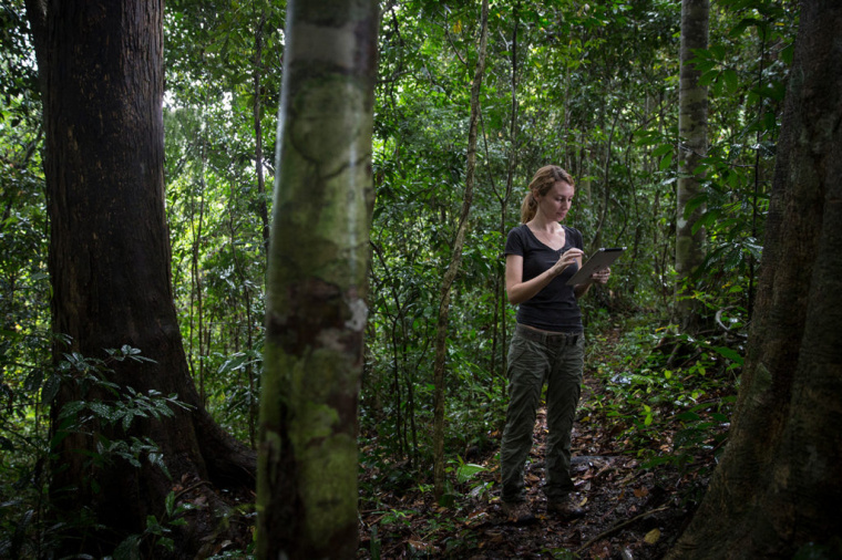 LSHTM醫(yī)學(xué)學(xué)院大學(xué)品牌形象設(shè)計(jì)VI設(shè)計(jì)