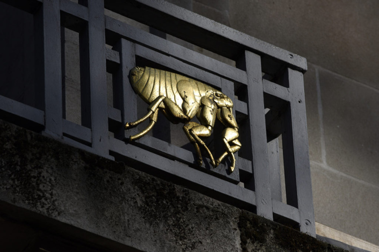 LSHTM醫(yī)學(xué)學(xué)院大學(xué)品牌形象設(shè)計(jì)VI設(shè)計(jì)