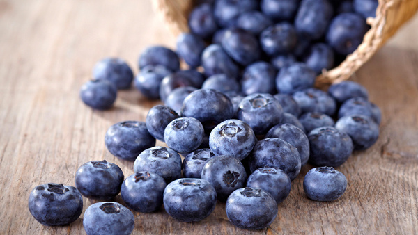 Vita Tiens 能量棒包裝設計，爆炸能量和活力主題設計