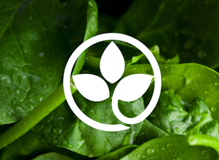 營養研究所中心logo設計-上海logo設計公司健康保健營養logo靈感