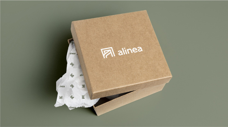 Alinéa法國(guó)家具裝飾公司商場(chǎng)標(biāo)識(shí)logo設(shè)計(jì)與vi形象設(shè)計(jì)-包裝盒子