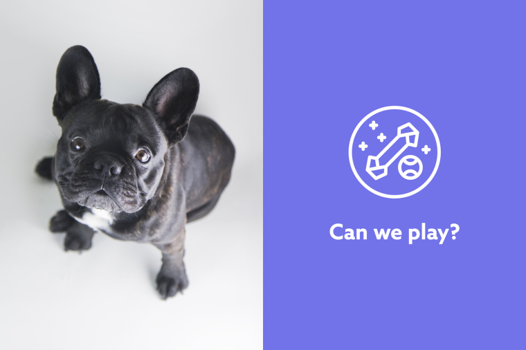 Barkyn 狗糧寵物食品品牌形象設(shè)計(jì)-logo設(shè)計(jì)包裝設(shè)計(jì)，淡雅溫馨風(fēng)格展現(xiàn)寵物之愛