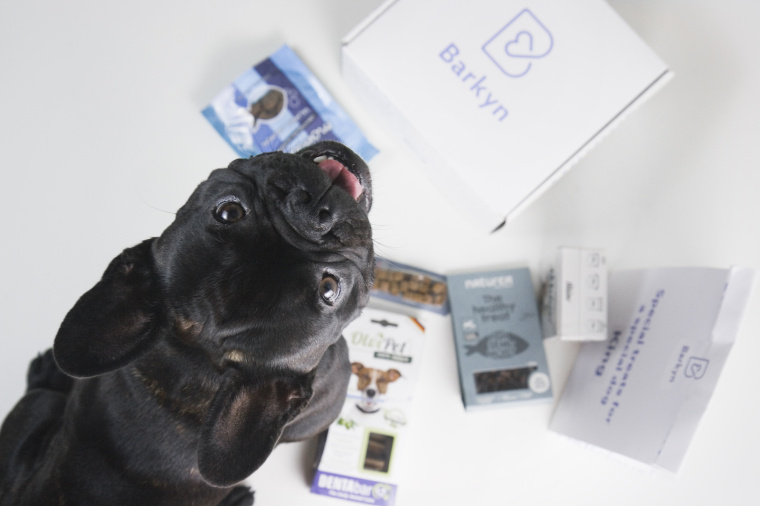 Barkyn 狗糧寵物食品品牌形象設(shè)計(jì)-logo設(shè)計(jì)包裝設(shè)計(jì)，淡雅溫馨風(fēng)格展現(xiàn)寵物之愛