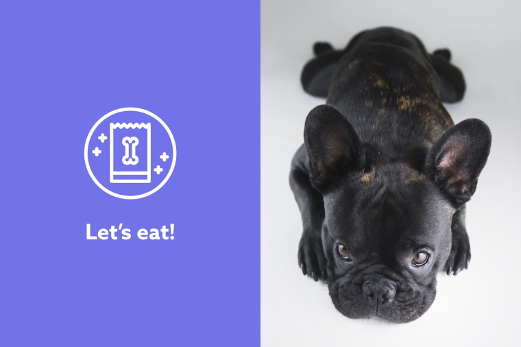 Barkyn 狗糧寵物食品品牌形象設(shè)計(jì)-logo設(shè)計(jì)包裝設(shè)計(jì)，淡雅溫馨風(fēng)格展現(xiàn)寵物之愛