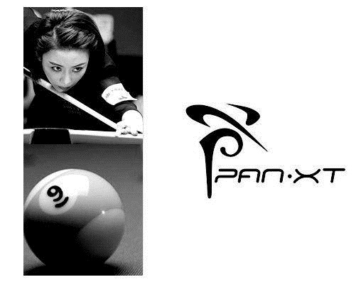 潘曉婷+九球 世界冠軍潘曉婷logo設(shè)計(jì)