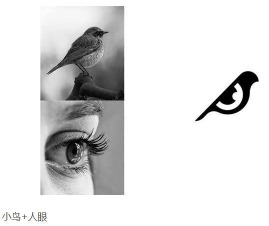 鳥+眼睛logo設(shè)計(jì)