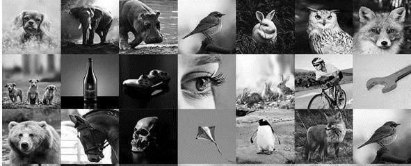 六位數(shù)花費(fèi)的LOGO設(shè)計(jì)，關(guān)鍵在于多個(gè)元素的創(chuàng)意結(jié)合