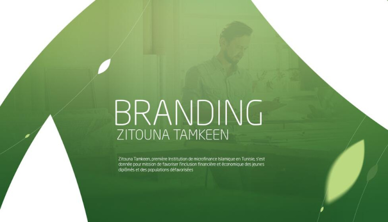 Zitouna橄欖油生產企業logo設計vi設計，橄欖樹、蠟燭、人與幾何圖形的結合