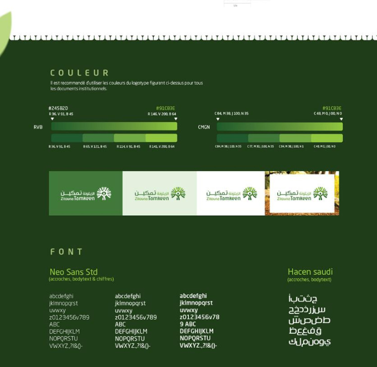 Zitouna橄欖油生產企業logo設計vi設計，橄欖樹、蠟燭、人與幾何圖形的結合