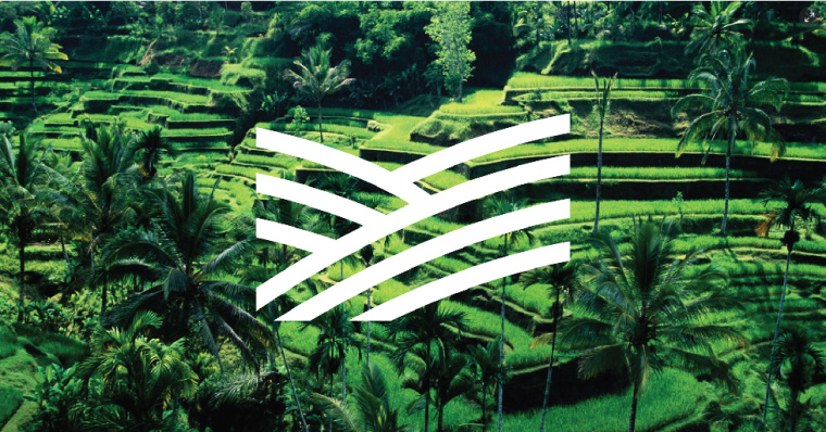 Noch 有機農場logo設計vi設計-上海農業品牌設計公司