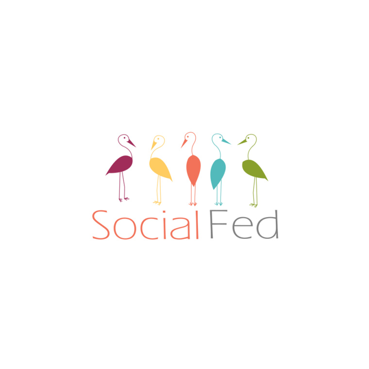 彩虹配色方案標志設計：socialfed多彩天鵝標志設計