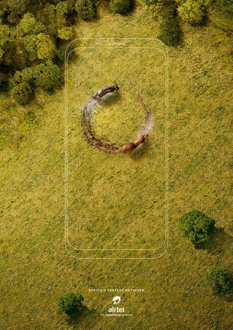 全球領先電信公司Airtel創意平面廣告設計-獅子和角馬篇