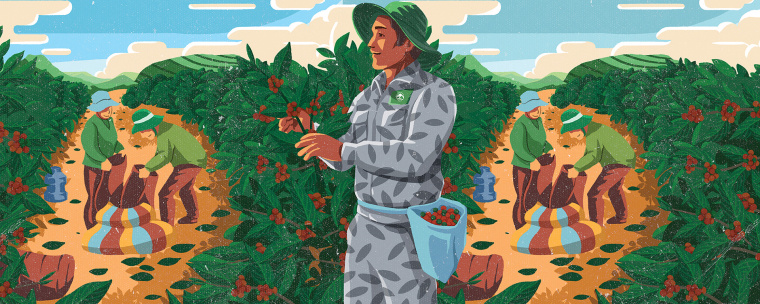 Cau Dat 農場咖啡茶葉包裝設計，采用環繞農場的插畫設計將全景感受融入其中