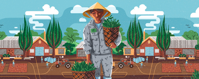 Cau Dat農場插畫式包裝設計，采用環繞設計將全景感受融入其中