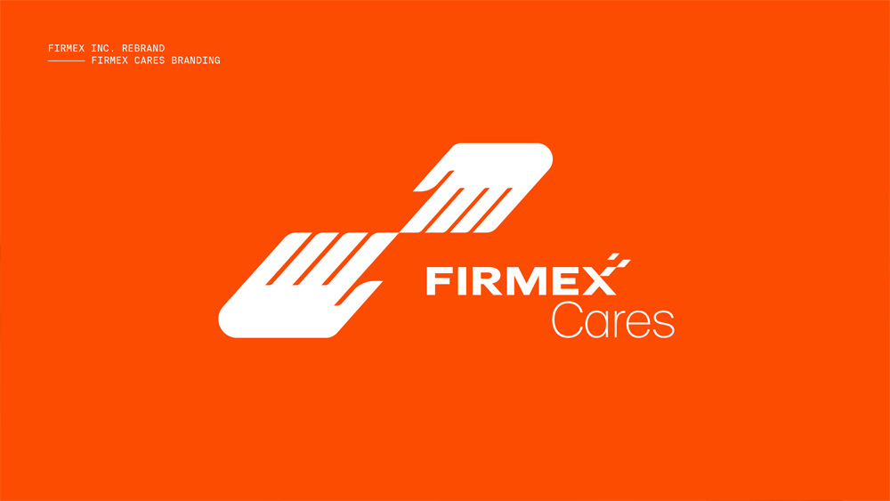 IT科技品牌創(chuàng)意設(shè)計(jì)：Firmex虛擬數(shù)據(jù)庫空間公司logo設(shè)計(jì)VI設(shè)計(jì)企業(yè)形象設(shè)計(jì)