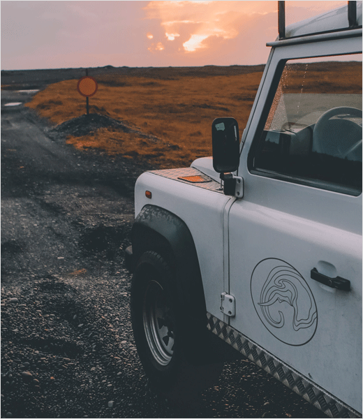 LDF大象動(dòng)物保護(hù)基金會(huì)標(biāo)志設(shè)計(jì)