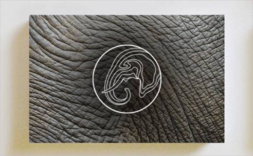 LDF大象動(dòng)物保護(hù)基金會(huì)標(biāo)志設(shè)計(jì)