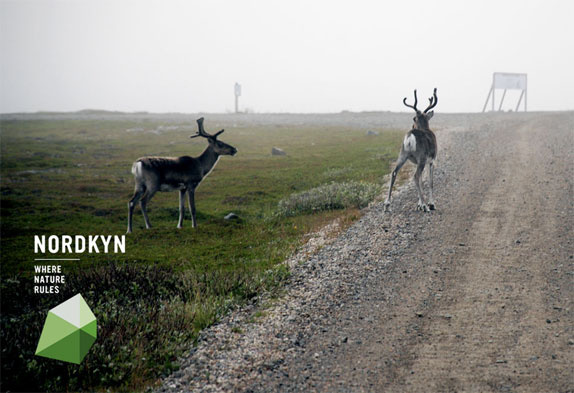 Nordkyn半島旅游品牌形象設計動態logo設計vi設計