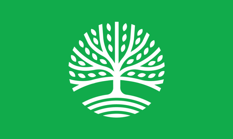 伊根市城市品牌形象重塑設計logo設計，抽象綠色大樹圖形