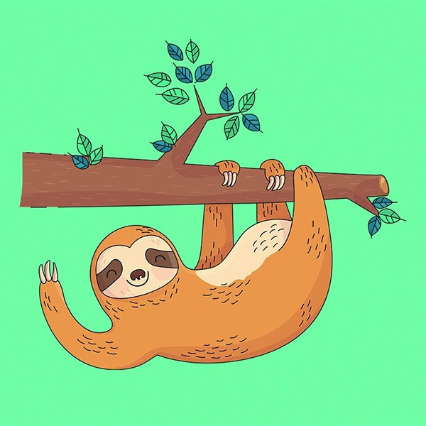 懶惰樹懶吉祥物設計--上海品牌設計公司