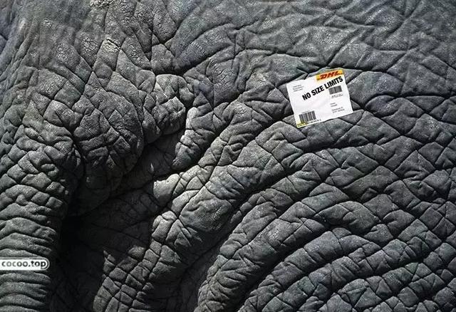 廣告創(chuàng)意的六大原則-上海尚略廣告策劃公司