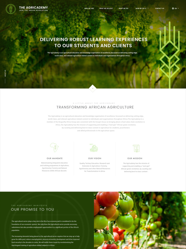 清潔和現代的網頁設計-上海網站設計公司