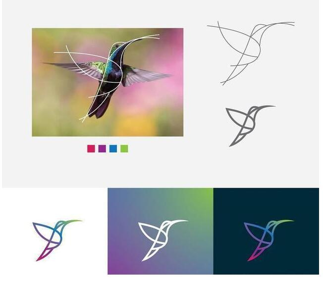 logo設(shè)計(jì)過(guò)程圖示揭示logo設(shè)計(jì)靈感-蜂鳥(niǎo)線(xiàn)條logo設(shè)計(jì)靈感