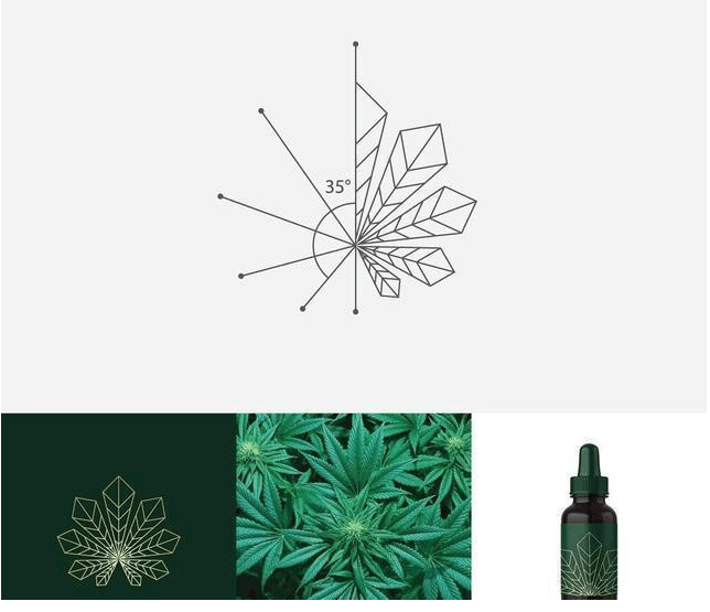 logo設(shè)計(jì)過(guò)程圖示揭示logo設(shè)計(jì)靈感-植物+線(xiàn)條 精油logo設(shè)計(jì)靈感