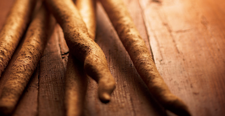 Soba 面館餐飲宣傳畫冊設計，東方日式藝術風格
