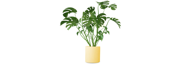 hl group 品牌涂料油漆建材宣傳手冊設計，豐富的多色彩設計