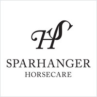 字母與字母傾斜結合的字母logo