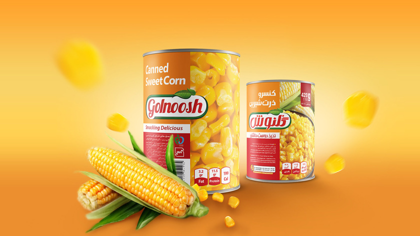 Golnoosh罐頭食品包裝設(shè)計(jì)”豎版大圖“風(fēng)格-上海包裝設(shè)計(jì)公司