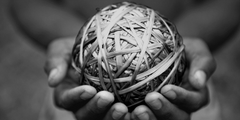 Complexas非洲生態環境監測公司宣傳冊設計