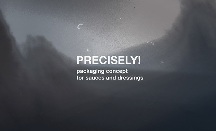 Precisely!醬料調(diào)料的包裝設計瓶型設計-上海包裝設計公司