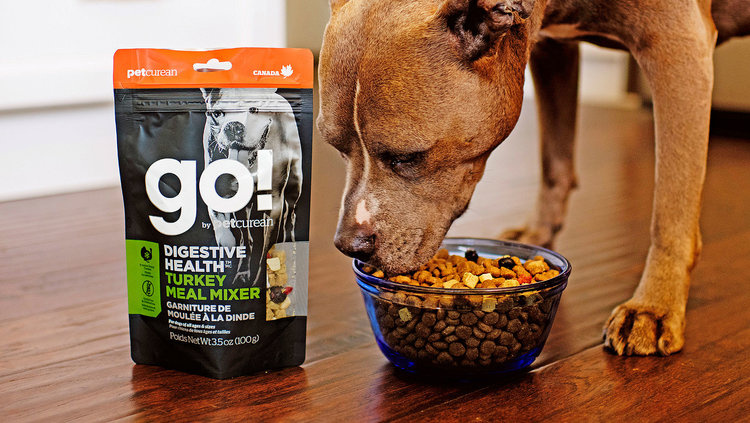 GO！混合膳食保健狗糧包裝設(shè)計(jì)-上海包裝設(shè)計(jì)公司