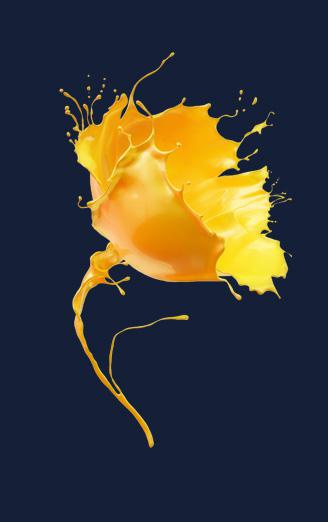 TIKKURILA 室內油漆涂料包裝設計”飛濺的鳥與花“