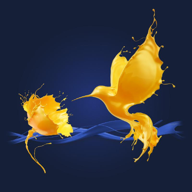 TIKKURILA 室內油漆涂料包裝設計”飛濺的鳥與花“