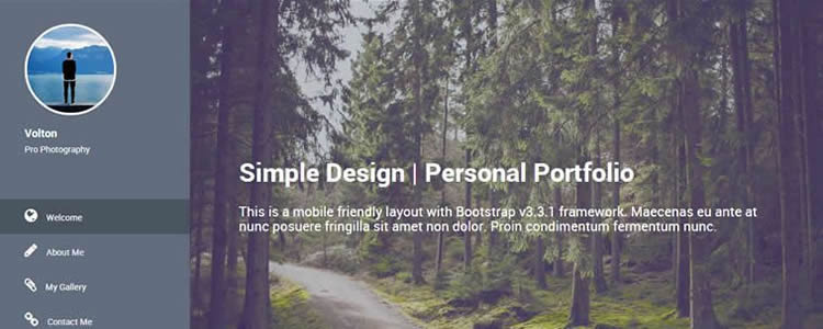 volton自由設(shè)計(jì)師撰稿人垂直菜單html5模板網(wǎng)站響應(yīng)