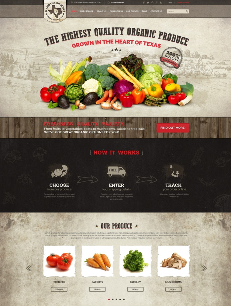 在網(wǎng)站上戰(zhàn)略性地放置您的徽標(biāo)logo