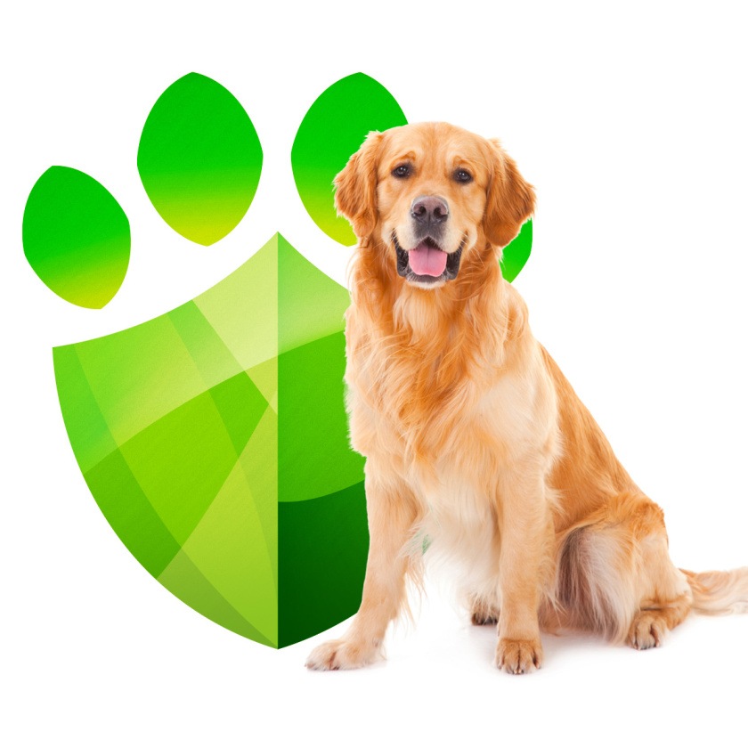 SIMPARICA 寵物藥品包裝設計“爪子盾牌”篇