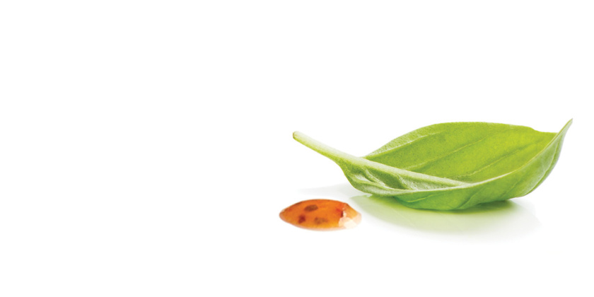 Gourmet Garden美食花園袋裝醬料包包裝設(shè)計(jì)，展現(xiàn)自然清新的美味