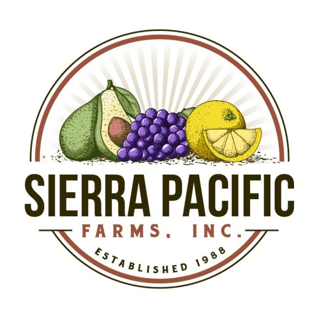 大膽的對比色會徽logo設計-鱷梨，葡萄和檸檬彼此相鄰，帶有文字的徽標logo