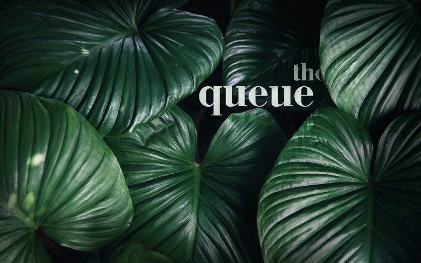 比利時(shí)啤酒包裝設(shè)計(jì)，大寫字母Q貫穿所有包裝