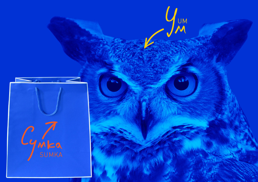 Sumka 商品折扣和促銷優惠APP 品牌形象全案策劃設計概念-貓頭鷹和購物袋