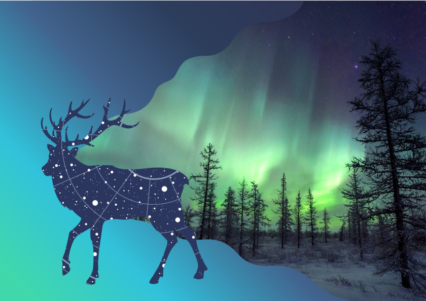 Yakut 袋裝面包烘培產品包裝設計，動物星空北極光圖形