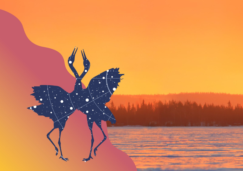 Yakut 袋裝面包烘培產品包裝設計，動物星空北極光圖形